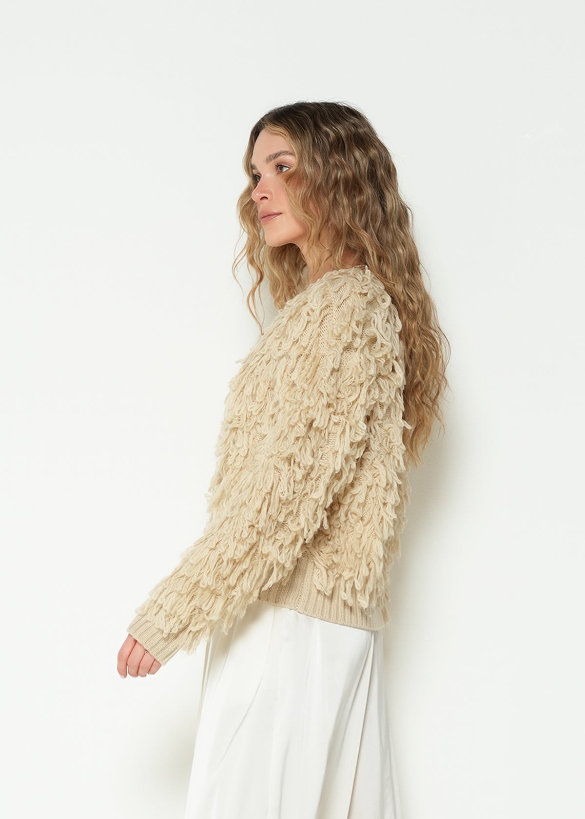 Tejido buzo manga larga cuello redondo - Beige 14_283H015_BEI141107_5